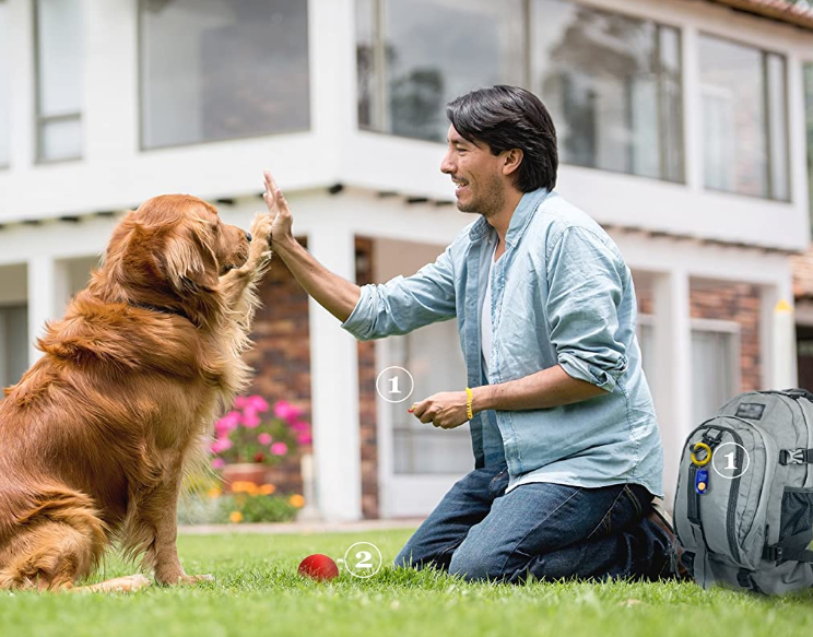 Dog Training Tools