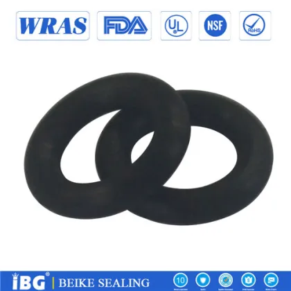 High Precision Buna-N O-Rings
