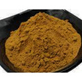 Echinacea Extract - High-Potency Purple Coneflower Herbal Supplement