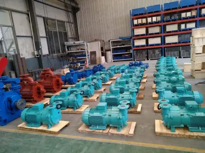 2BV2 070-EX NASH Single Stage Explosion-Proof Vacuum Pump, 3 HP