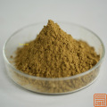 Andrographis Paniculata Extracto Andrographolide 30%