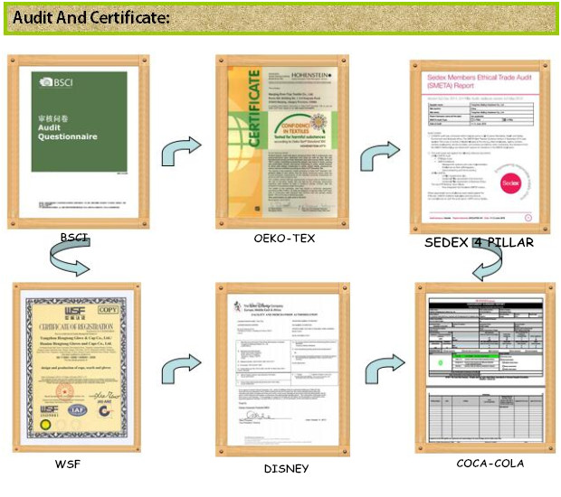 Audit and Certificate