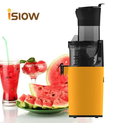 Masticating Steel Vacuum Portable Juicer: Small Portable Powder Juicer
