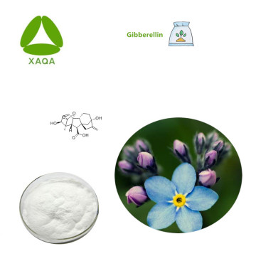 Plant Growth Material Gibberellin Powder CAS No.77-06-5