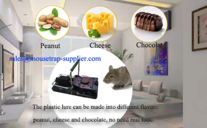 Plastic Mouse Bait for Mouse Rodent Trap