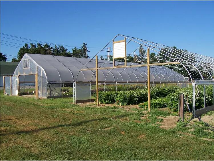 Multi Span plastic tunnel greenhouse with cooling system