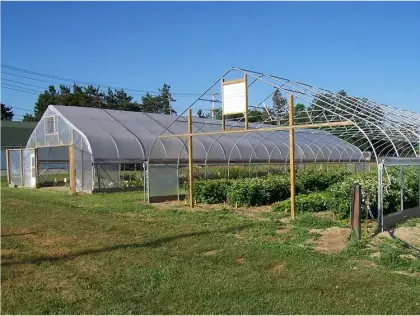 garden Greenhouse Plastic Film Greenhouse