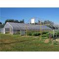 Single Span Plastic Film Green house For Plant