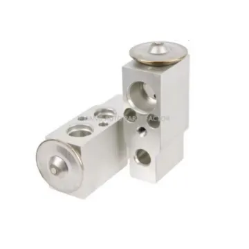 92200-1U60A 92480-CJ000 Compressor Expansion Valve for Nissan Tiida