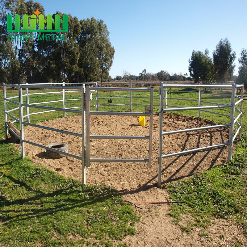 Hot Dipped Galvanized Horse Panel for Livestock