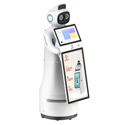 Intelligent Thermal Imaging Reception and Information Service Robot