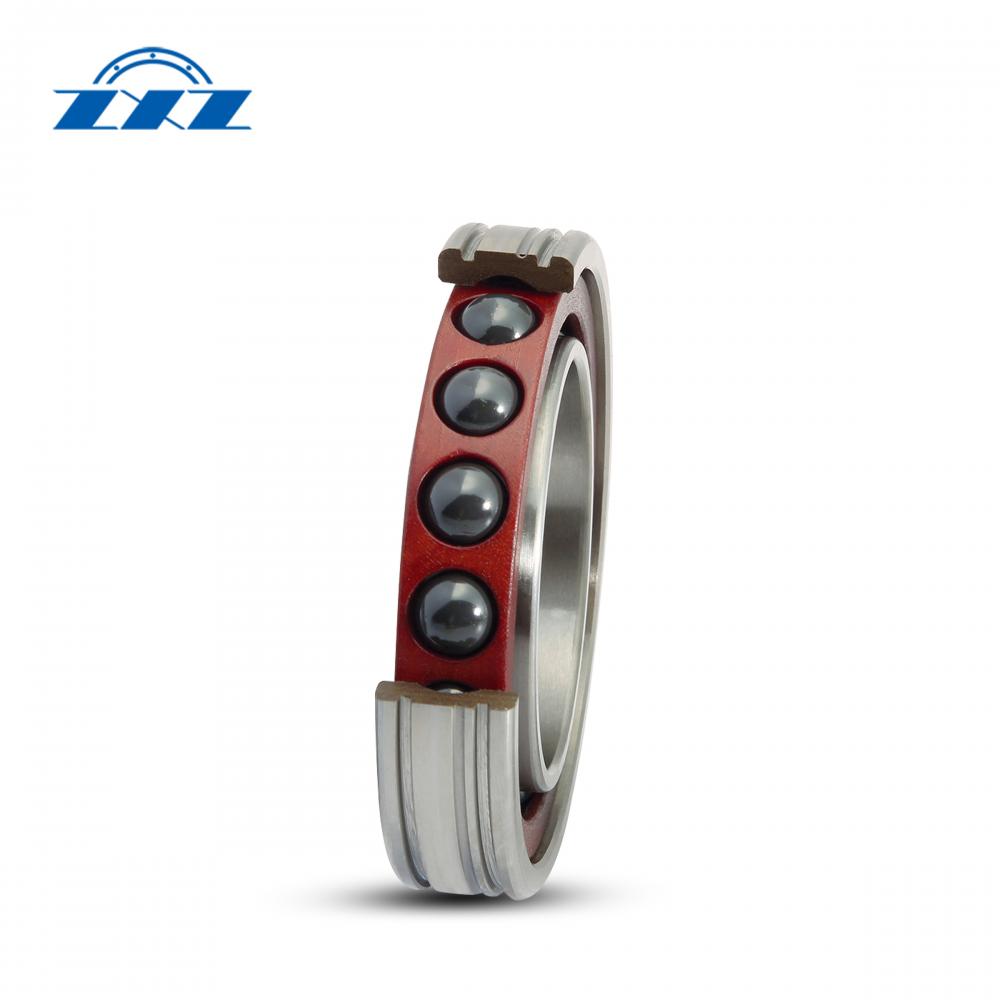 Ceramic Rolling Element Bearings