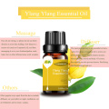 Cosmetics grau 100% Pure Private Leme Lemon Essential Oil