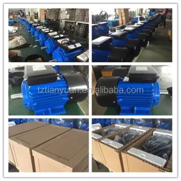 YL Single Phase AC Motor 240V 750W