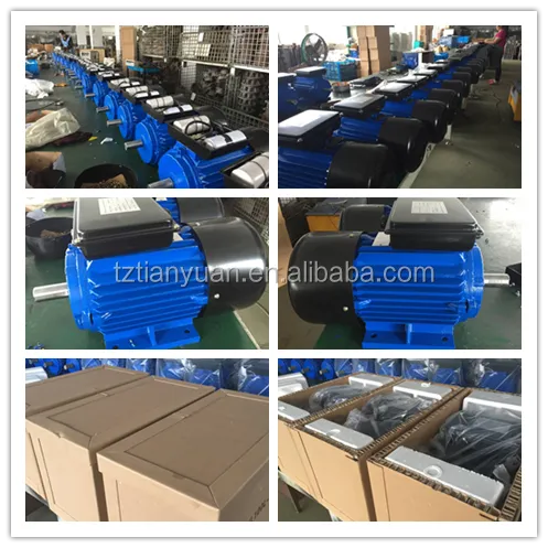 YL Single Phase AC Motor 240V 750W