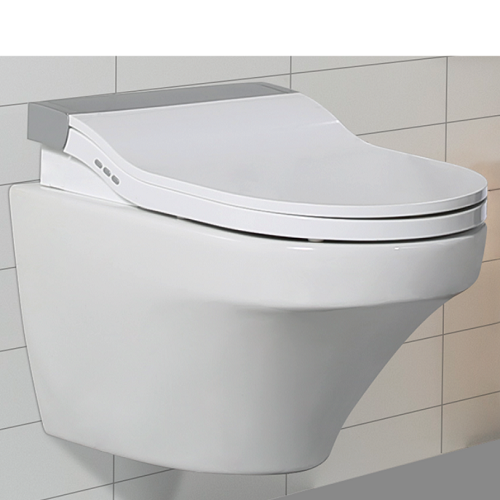 gold wall hung toilet