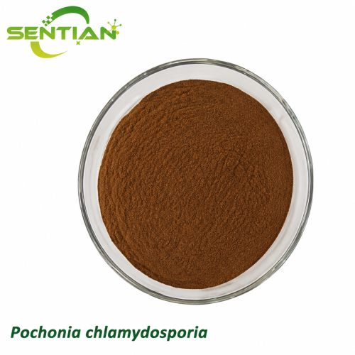 Pochonia chlamydosporia Biological Nematode Control