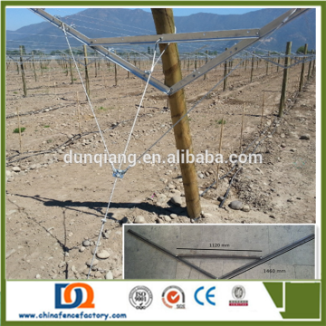 Y" Sharped Open Gable Trellis System