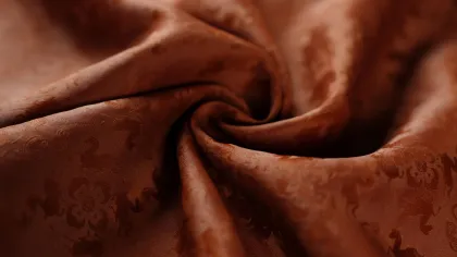 Opening of the Western Regions Mulberry Silk
