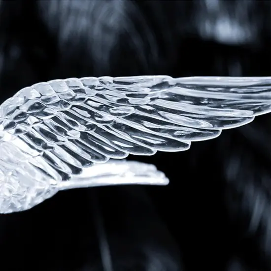 INSHINE White Bird Image Aesthetically Pendant Light