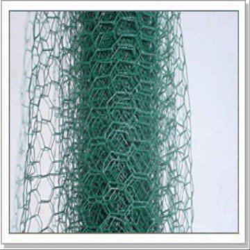 Hexagonal Wire Mesh