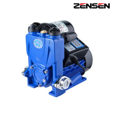 Bomba autoescorvante inteligente WZB-P