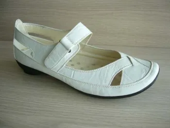 lady's casual shoes
