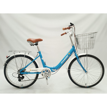 Popular 24 Inch Steel Folding Bike with 7 Speeds