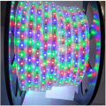 Sihirli rüya renk 5050 LED şerit ışıklar