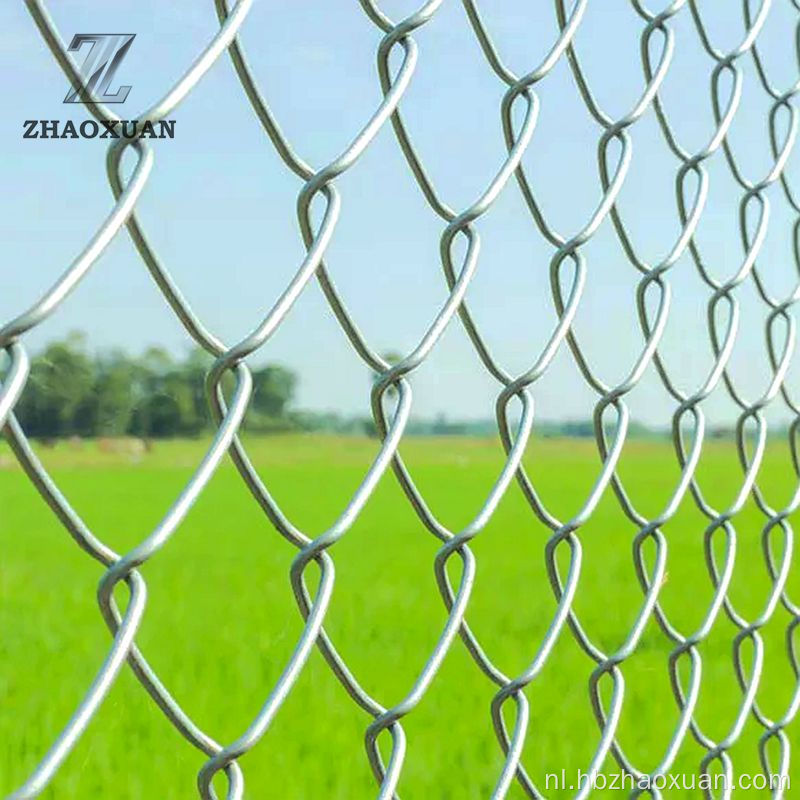 Hot Sale Chain Link hek draadgaaspanelen