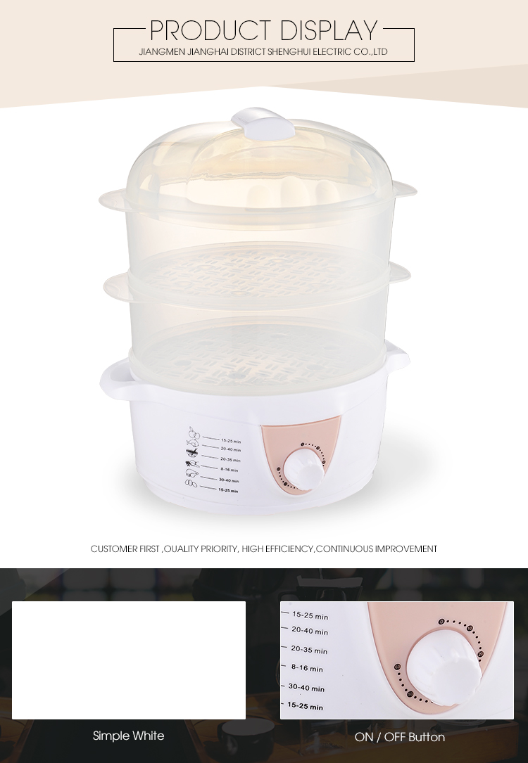 Electric Food Steamer with Cover