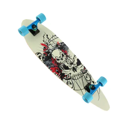 Skating Street Surfing Board Long Skate Board