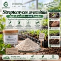 مسحوق Streptomyces avermitilis Microbial لإدارة التربة ومنطقة الجذر