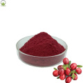 Serbuk cranberry organik berkualiti tinggi