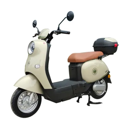 youjia (tailgate version) Electric two-wheeler