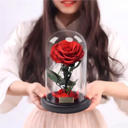 Little Prince Preserve Rose Glass Dome