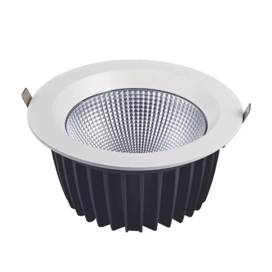 RONSE Low Best Price Aluminum Ceiling Downlight - 20w 30w 40w 60w LED Ceiling Light