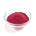 Bio -Lingonberry -Extraktpulver