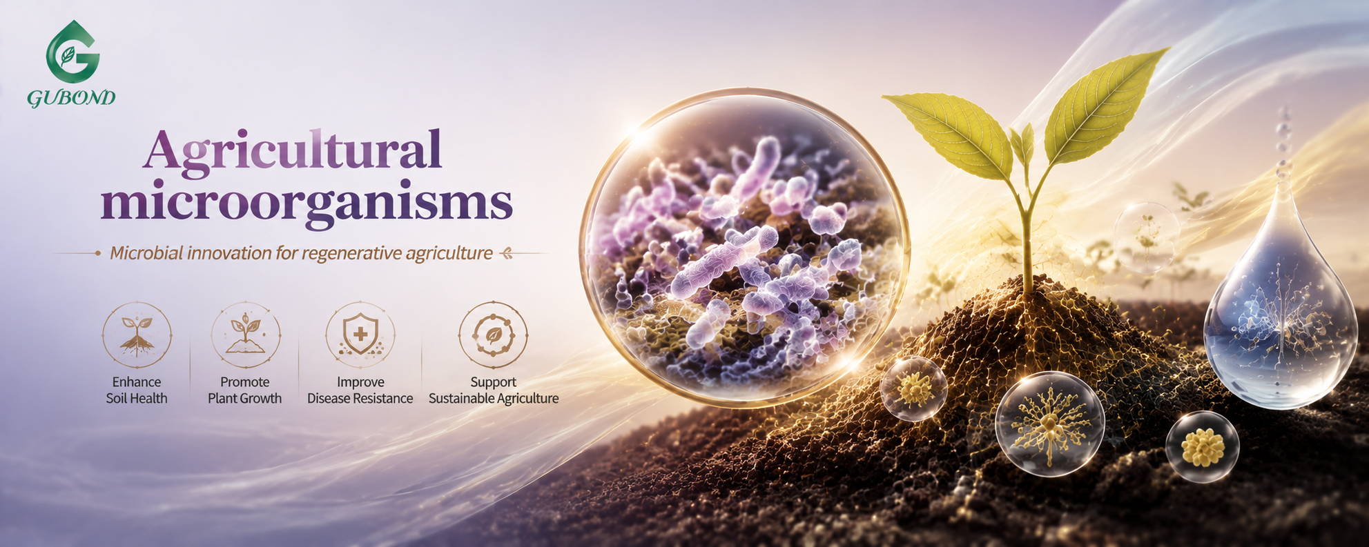 Agricultural microorganisms