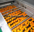 مربى الفاكهة وخط إنتاج عصير الفاكهة