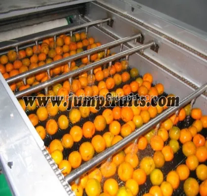Fruit jam and fruit juice production line