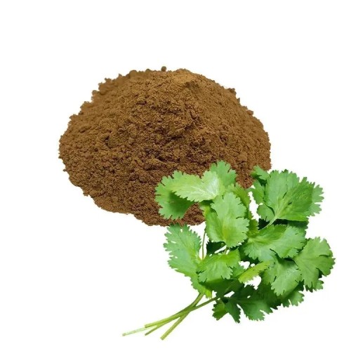 Cilantro Caraway Extract Coriander Seed Extract Powder