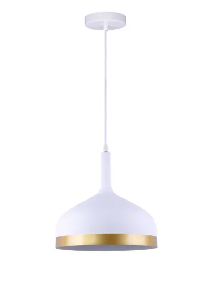 Modern Simple Metal  glass pendant Lights