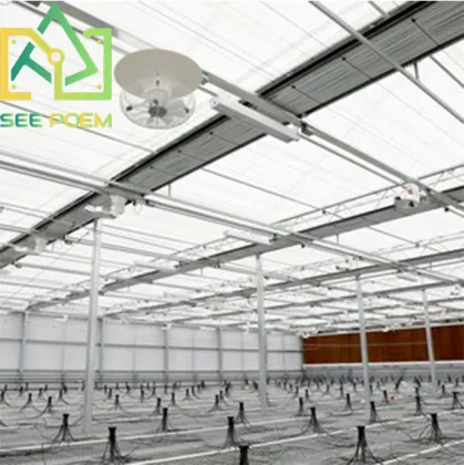 Skyplant Greenhouse HPS DE 1000w Grow Light System