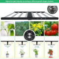 Flowering Plant Light For Indoor Plants In Winter