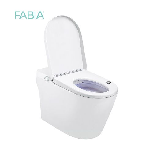 Smart Toilet Water Closet With Bidet Wash