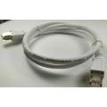 Câble LAN Ethernet 2000Mhz SFTP Cordon de raccordement Cat8