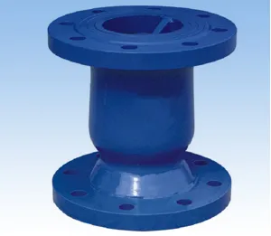 Silent check valve for water pump