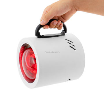 Professional Handheld Portable Bake Lamp and Test Kit