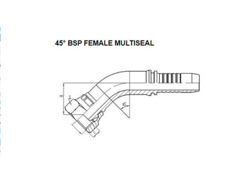 45° BSP Female Mutiseal 22141